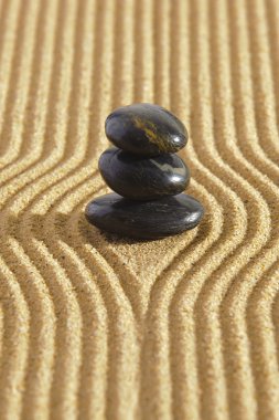 yin ve yang ile Japon zen Bahçesi