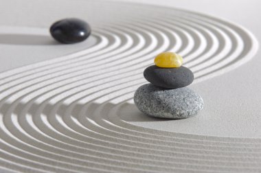 Japon Zen Bahçesi