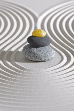Japon Zen Bahçesi