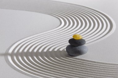 Japon Zen Bahçesi