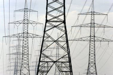 elektrik direkleri