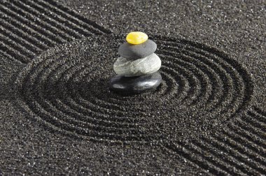 Japon Zen Bahçesi