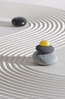 Japon Zen Bahçesi