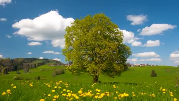 Zeitraffer bewegter Wolken — Stockvideo