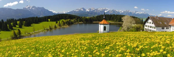 Широкий панорамный пейзаж Баварии — стоковое фото
