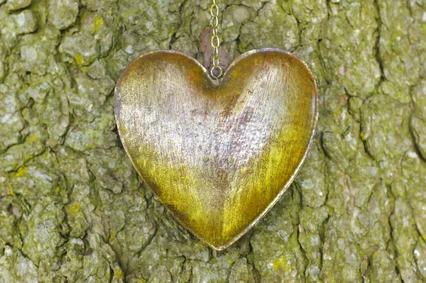 Corazón de amor en el árbol —  Fotos de Stock