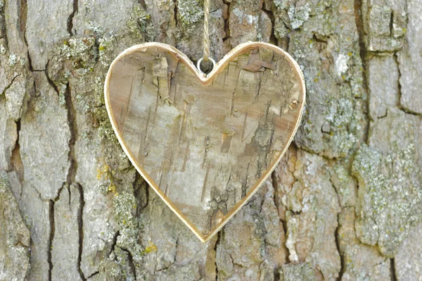 Corazón de amor en el árbol —  Fotos de Stock