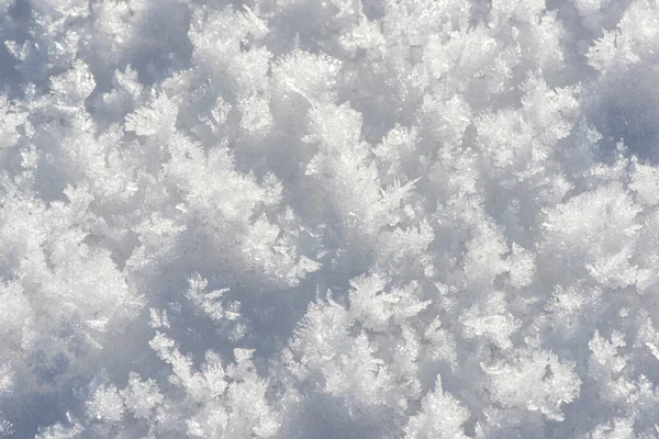 Povrch Bílého Prachového Sněhu — Stock fotografie