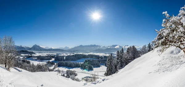 Panoramisch Landschap Met Zon Blauwe Hemel Winter — Stockfoto