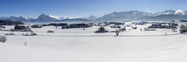 Panoramisch Landschap Winter Met Bergketen — Stockfoto