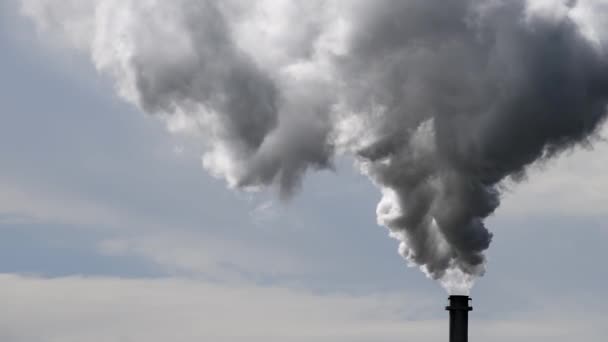 Smoking Industrial Chimney Clear Sky — Stok video