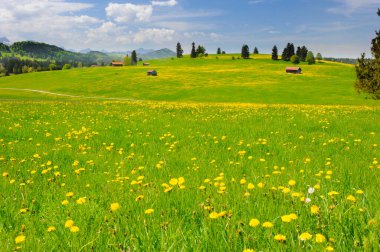 İlkbaharda çayır ve dağlarla panoramik manzara