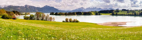 Panoramalandschaft Mit Wiesen Und Bergen Frühling — Stockfoto