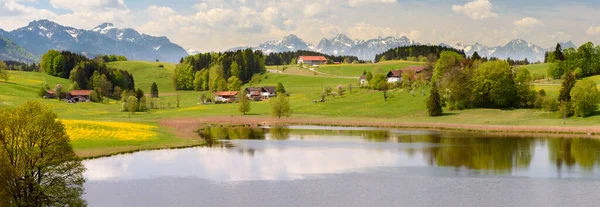 Panoramiczny Krajobraz Łąką Górami Wiosną — Zdjęcie stockowe