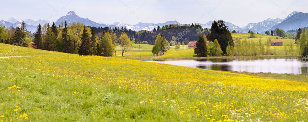 panoramic landscape with meadow and mountains at springtime