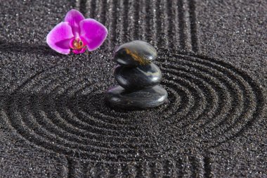 Japon ZEN bahçesi, yin yang taşı dokulu kum.