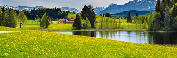 Panoramalandschaft Bayern Mit Bergkette Und See — Stockfoto