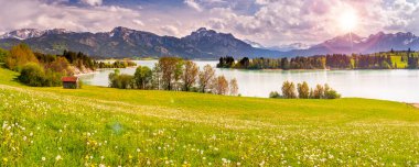 İlkbaharda canlı yeşil renkli güzel bir manzara.