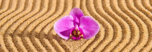 Japanese Zen Garden Yin Yang Feng Shui Textured Sand — Stock Photo, Image