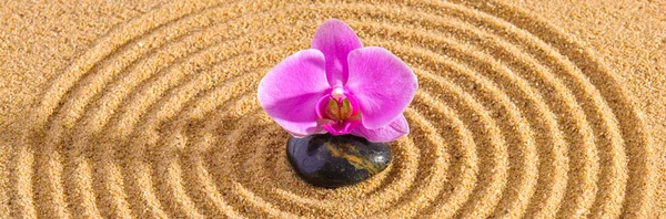 Japanischer Garten Mit Yin Yang Stein Strukturiertem Sand — Stockfoto