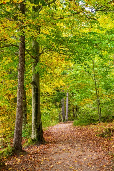 Çayırları ve ağaçları olan güzel panoramik manzara