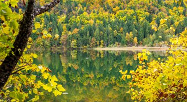 panoramic landscape with lake and forest at autumn