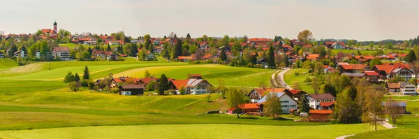 Panoramic Landscape Meadow Mountain — Zdjęcie stockowe