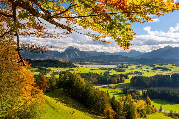 Sonbaharda Ağaç Dağlarla Panoramik Manzara — Stok fotoğraf
