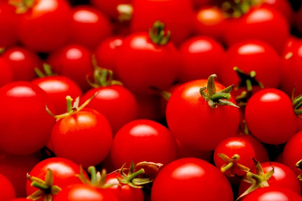 Viele Kirschtomaten — Stockfoto