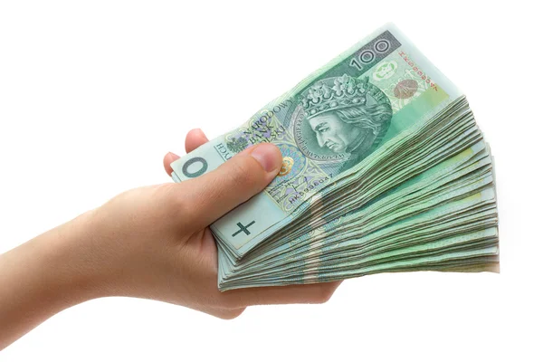 yığın Lehçe banknot elinde