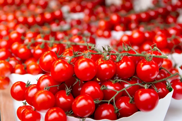 Many cherry tomatos — Stock Photo, Image