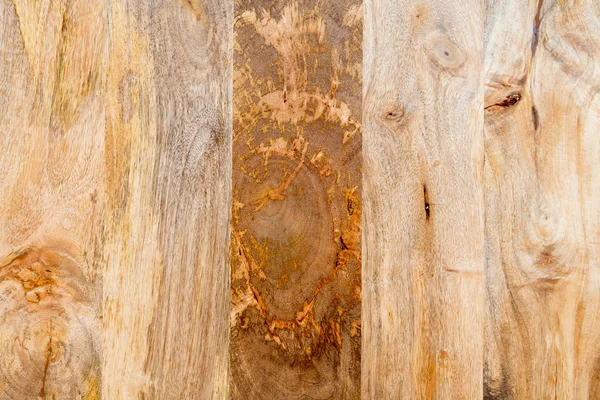 Sfondo in legno - campioni di albero di mango — Foto Stock