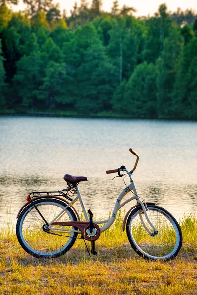 Rower Stojący Nad Jeziorem Lasem Wodą Tle — Zdjęcie stockowe