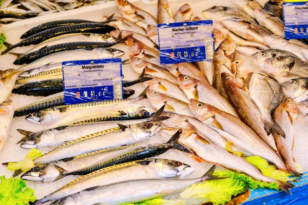 Čerstvé Ryby Řadách Francouzský Rybí Trh — Stock fotografie