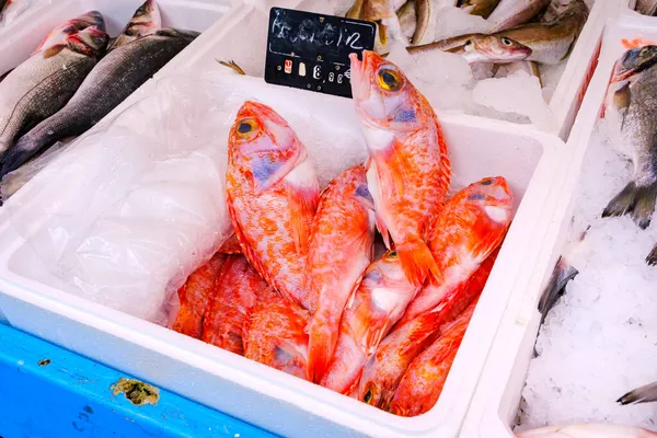Oranžové Oceánské Ryby Rybím Trhu — Stock fotografie