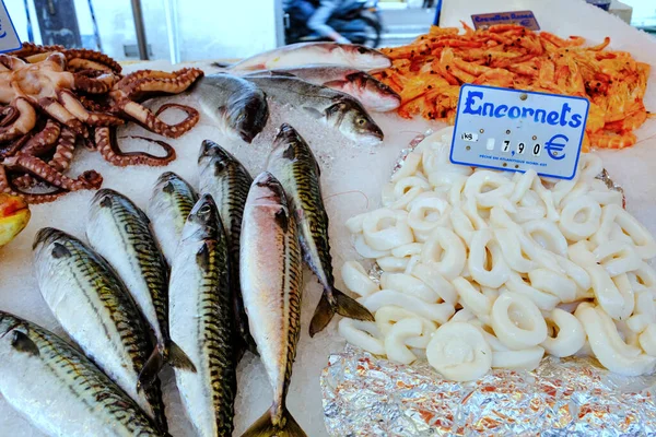 Mořské Plody Francouzském Trhu Olihně Chobotnice Makrela — Stock fotografie
