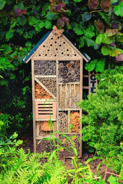Dřevěné Ručně Vyrobené Chyba Hotel Pro Hmyz Včely Motýli Stock Snímky