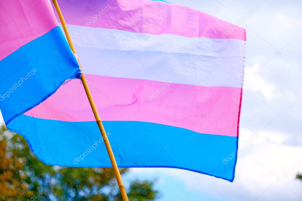 Transgender Pride Flag - pink, blue and white colors