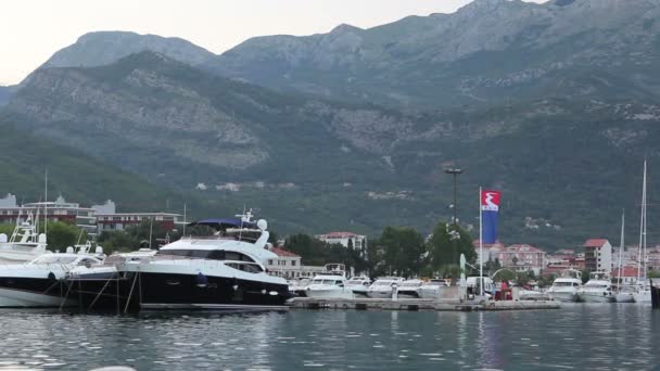 Montenegro. aan de baai van kotor — Stockvideo