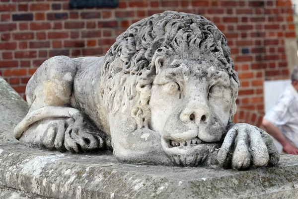 Aslan heykeli Krakow, Polonya