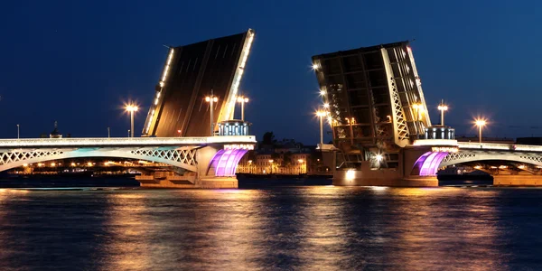 Saint-petersburg, Rusya Federasyonu. neva Nehri üzerinden bir asma köprü
