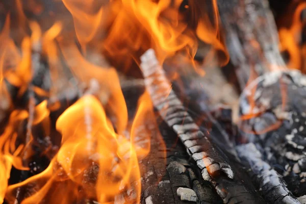 Open air fire — Stock Photo, Image