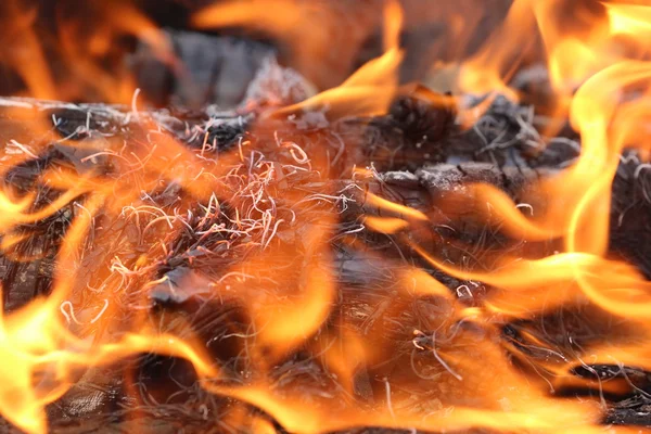 Open air fire — Stock Photo, Image