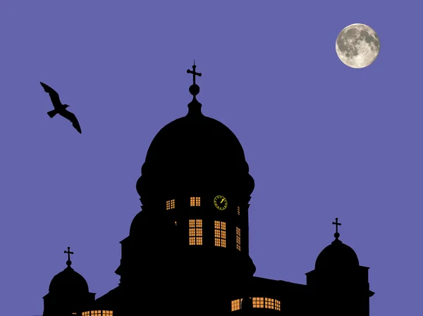 Cathedral at the moon background with bird — Stock Photo, Image