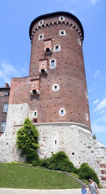 Kraliyet kale kule Krakow, Polonya
