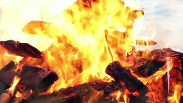 Offenes Feuer — Stockvideo
