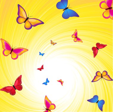 parlak renkli, ayrıntılı kelebek set