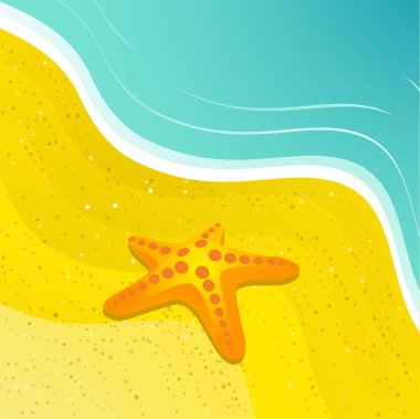 plaj yıldız balık