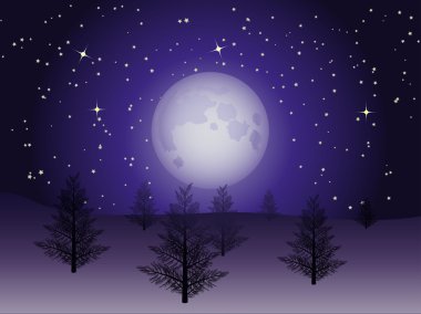 gece kış manzarası