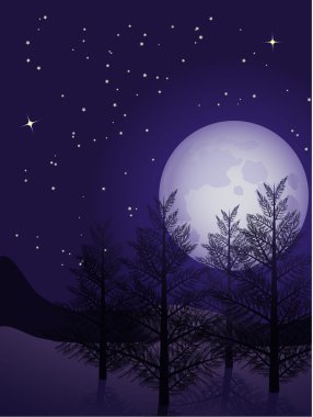 gece kış manzarası
